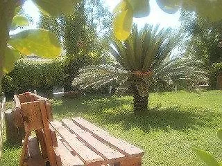 Palm Grove Complex Hotel