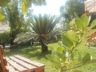 Palm Grove Complex ホテル
