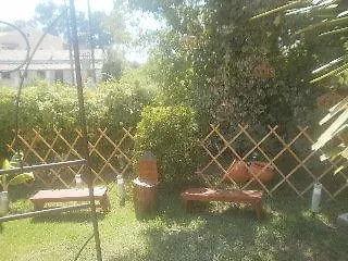 Palm Grove Complex Отель 3*